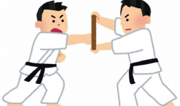 柔道漫画,力与心的较量